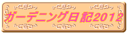 �K�[�f�j���O���L20�P2