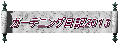 �K�[�f�j���O���L20�P3