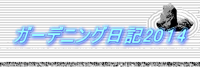 �K�[�f�j���O���L20�P4