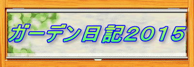 �K�[�f�����L�Q�O�P�T